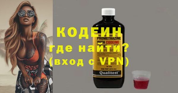 дмт Вяземский